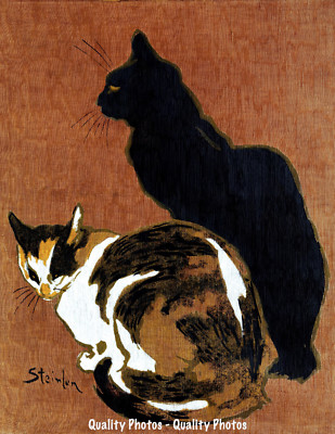 Two Cats 8.5x11