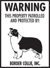 Warning Border Collie Property Protected Aluminum Dog Sign - 9" x 12"