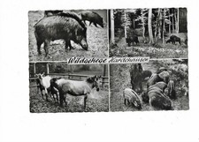 D1084 Postcard Wildgehege Hardehausen multi-picture card Guest House Varlemann used 1969
