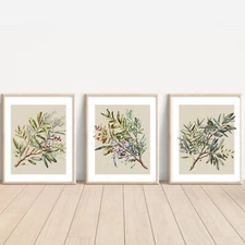 Set of Olive Trees ART PRINTS Wall picture Home (A4 Sized, unframed)