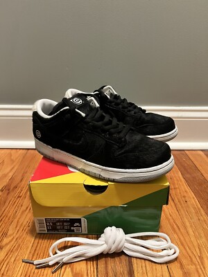 Size 9.5 - Nike SB Dunk Low Medicom Toy (2020) BEARBRICKS