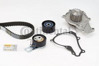 Continental Ctam CT1203WP1 Wasserpumpe & Steuerkettensatz FüR CitroËN, Ds, Ford