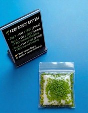 Live Aquarium Plants Duckweed Lemna Minor Floating Indoor Plant Nitrate