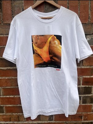 Supreme Butthole Surfers Rembrandt Pussyhorse T-Shirt Size Large 
