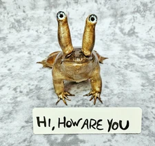 Real Bullfrog Taxidermy- Jeremiah the Innocent, Daniel Johnston