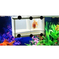 Fish Breeding Aquarium Xl Tank Big Hatchery Plastic Box Fish Incubator Net V0n7 on sale Fish Breeding Aquarium Xl Tank Big Hatchery Plastic Box Fish Incubator Net V0n7 on sale