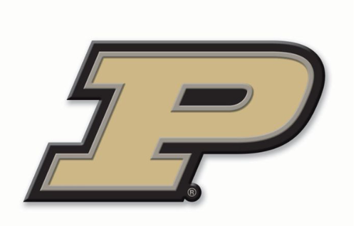 NCAA College Flexible Logo Decals (Choose Team) - Picture 6 of 12