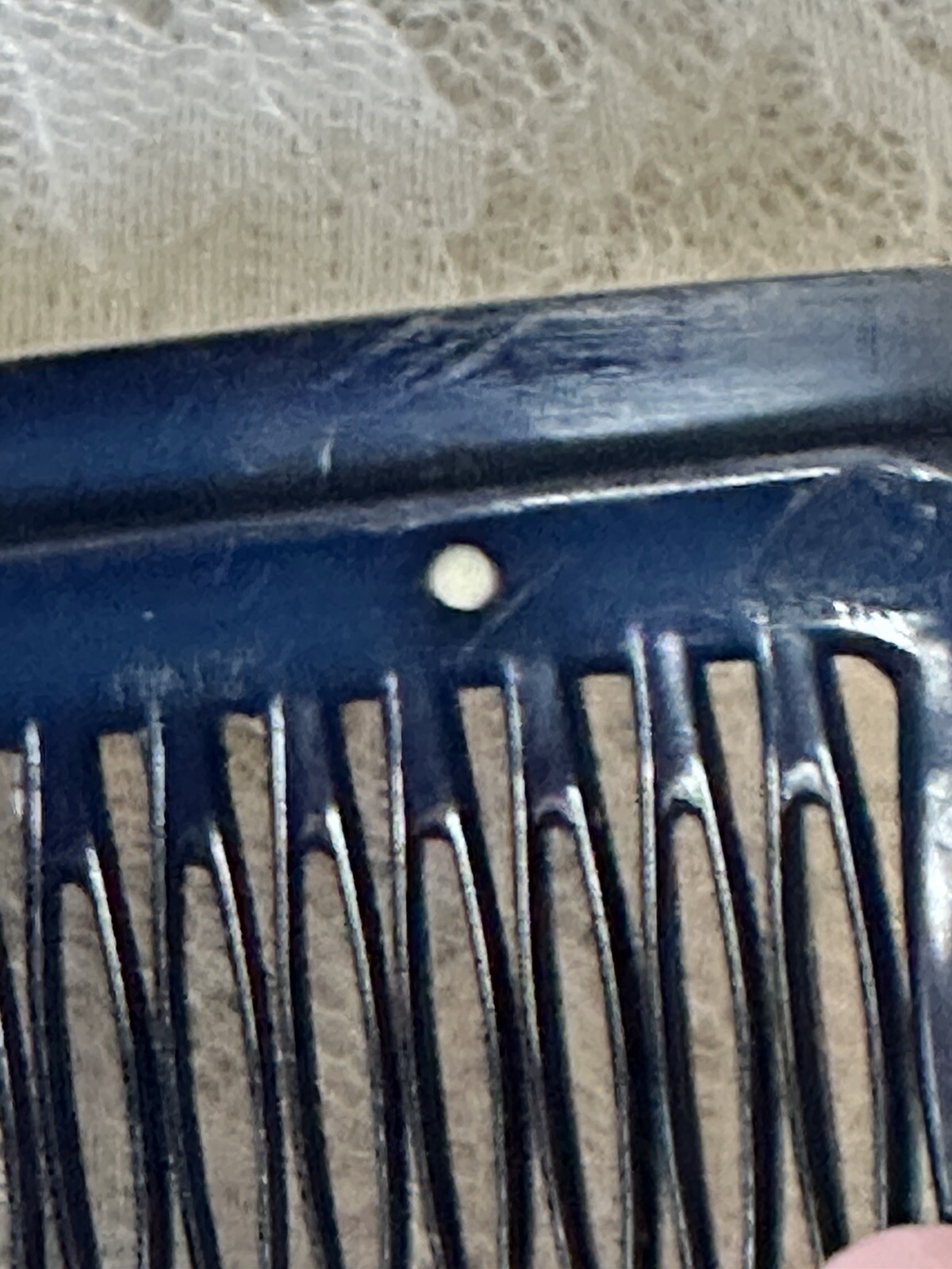 Picture 7 of 7