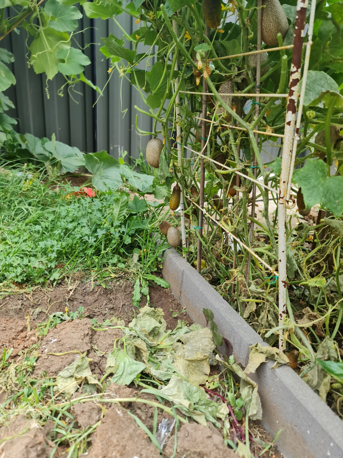 Picture 6 of 6