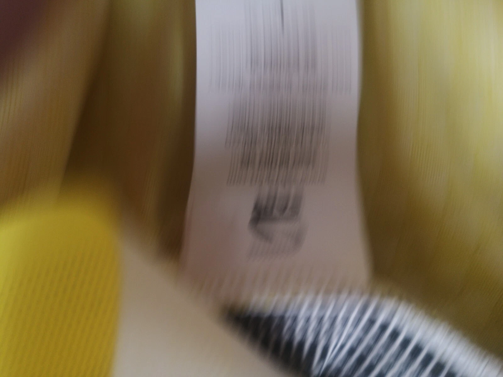 Foto 12 di 13