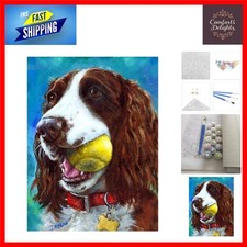 DIY Paint By Numbers Springer Spaniel Dog Unframed Canvas 16x20 Inch