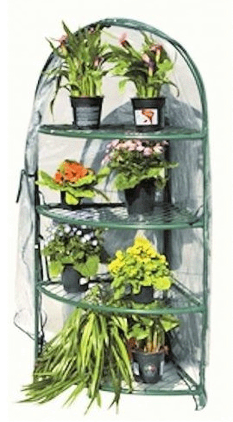 Foto 1 di 1