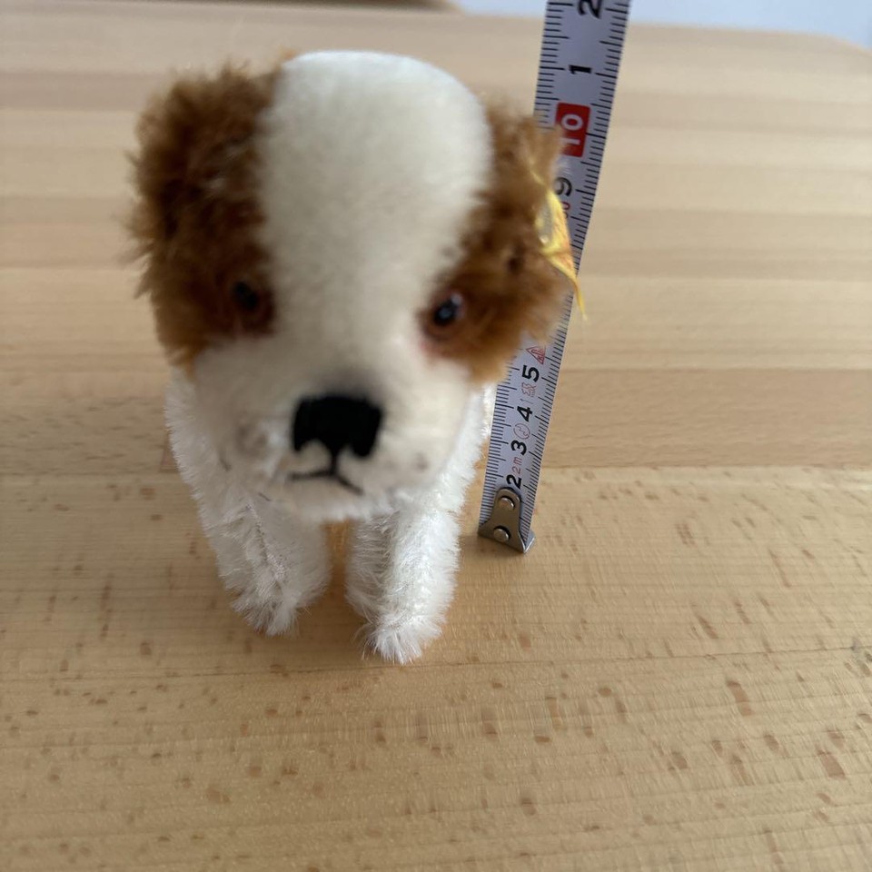 Germany Steiff St. Bernard 1934 PC2DMI eBay