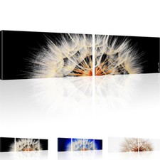 Bilder Pusteblume Dandelion Blume Bilder Wandbilder auf Leinwand