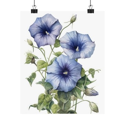 Morning Glory Flower Art Print, Flower Painting, Flower Décor, Floral Art Print