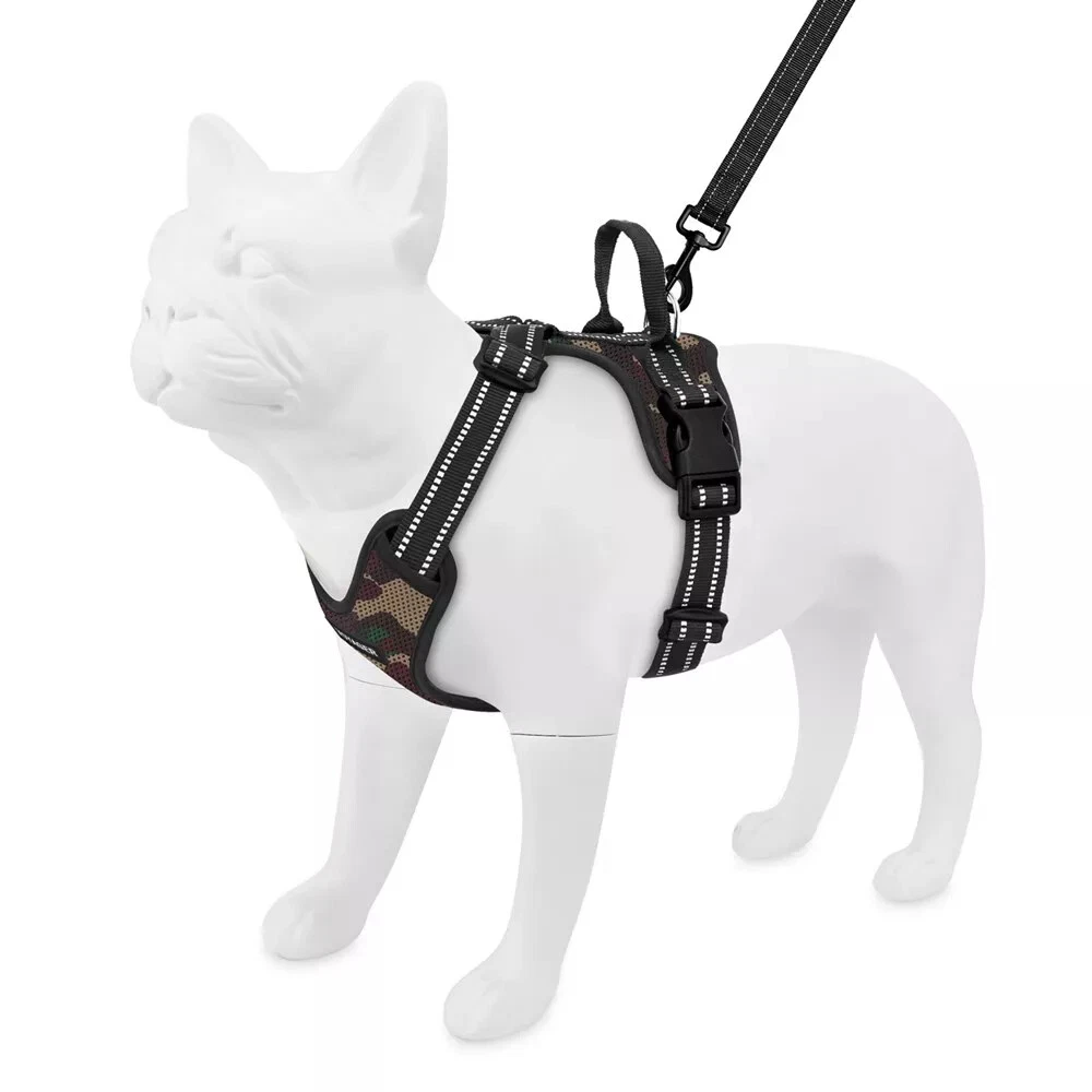 Voyager harness 2024