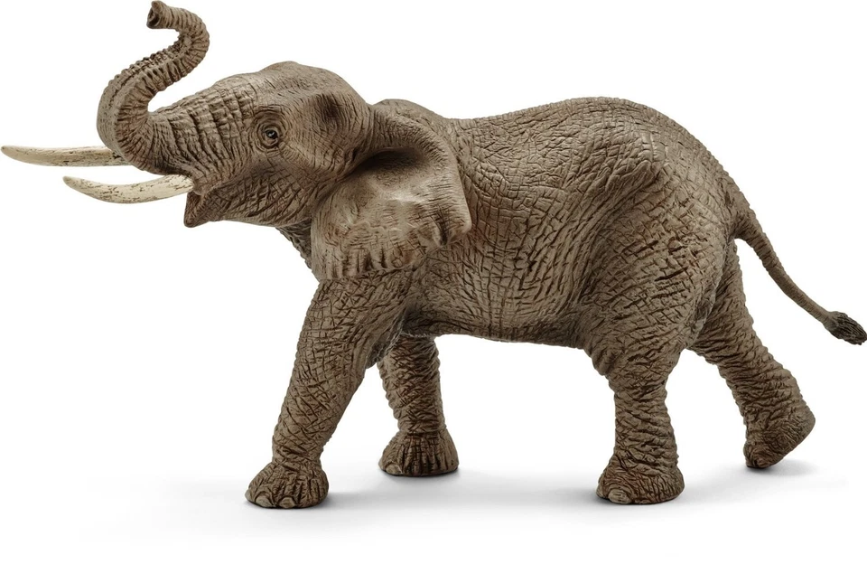 SCHLEICH - Figurine de l'univers des animaux sauvages - Éléphant mâle d'Afri... - Photo 1/1