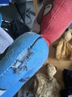 Foto 24 di 24