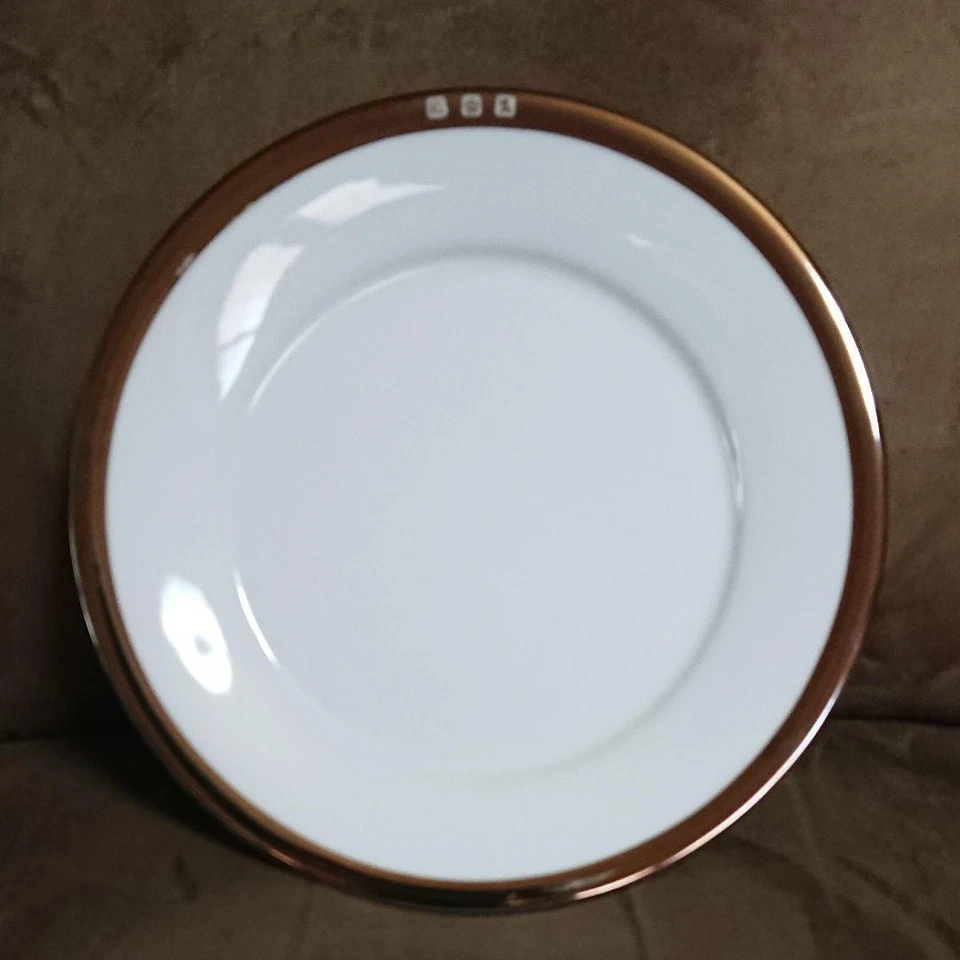 Juego de pares de platos de cena Ralph Lauren Academy PLATINO porcelana blanca 27,2 cm Foto 2 de 4