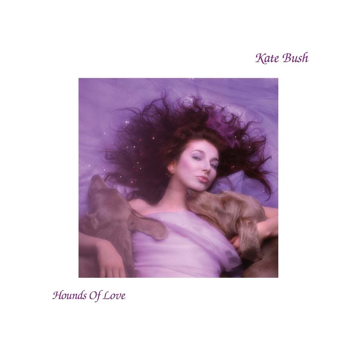 Kate Bush Hounds of Love (CD) Album