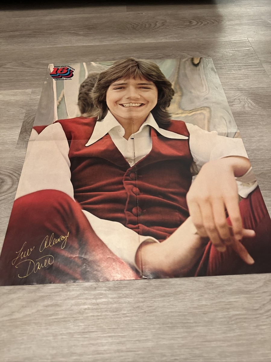 David Cassidy And Donny osmond Poster | eBay