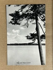 Postcard Grand Rapids MN Lake Pines Greetings Vintage Minnesota PC