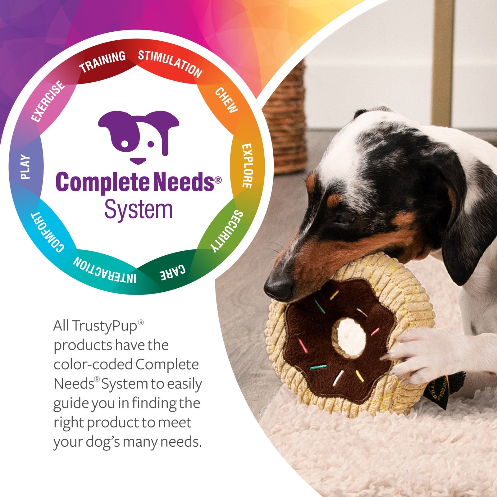 TrustyPup Donut Squeaky Plush Chew Guard Dog Toy, Small 4.50 x 4.50 x 1.50 in