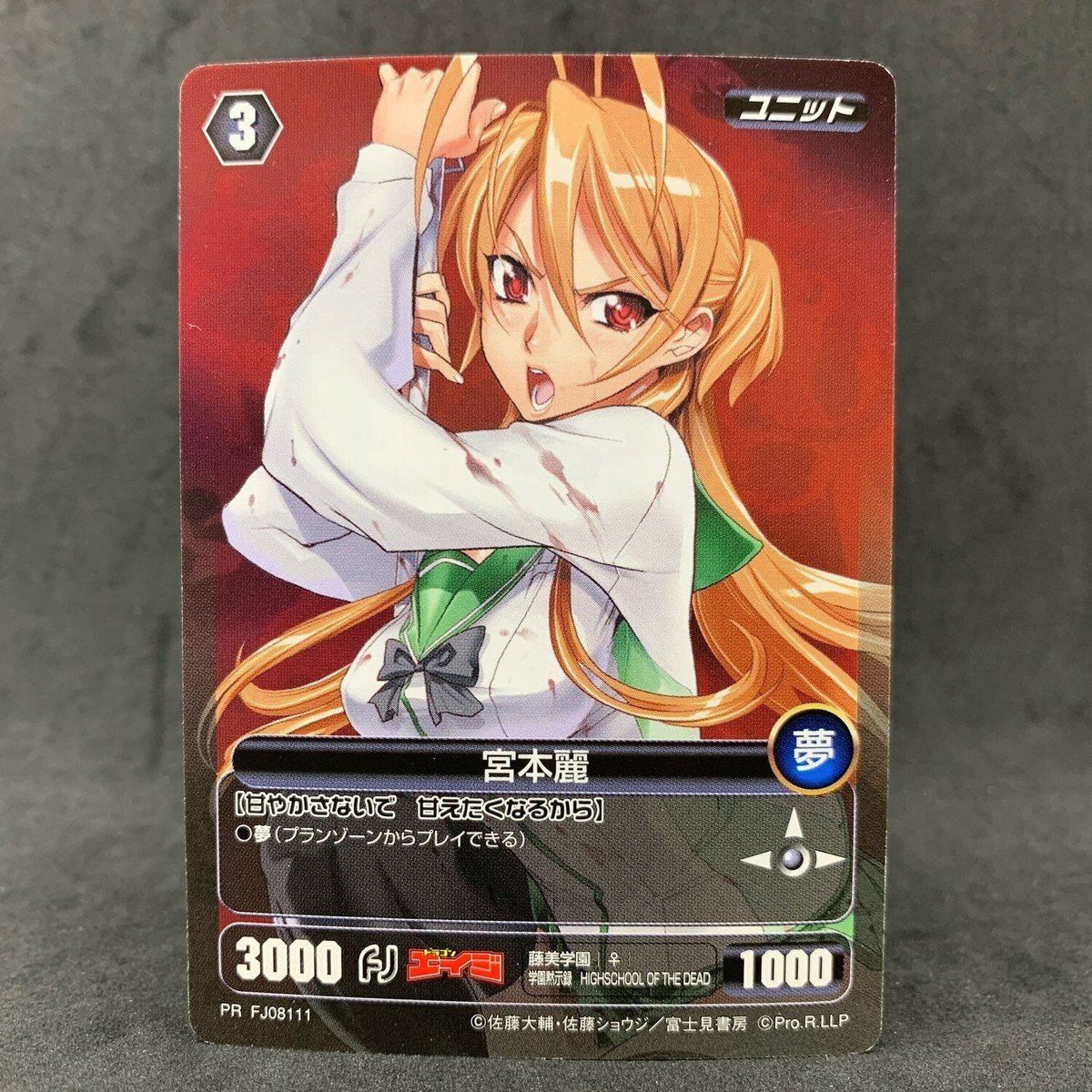 プロジェクトレボリューション 絶対の信頼 ハイスクール・オブ・ザ・デッド High School of The Dead SAEKO BUSUJIMA REI R PR Project Revolution