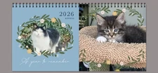 2026 DESKTOP CALENDAR-ROSES AND KITTENS, 12 MONTHS, 7 IN BY 10 IN PHOTOS