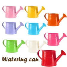Metal Watering Can Suitable for Potted Plant & Lawn Indoor Outdoor Plant