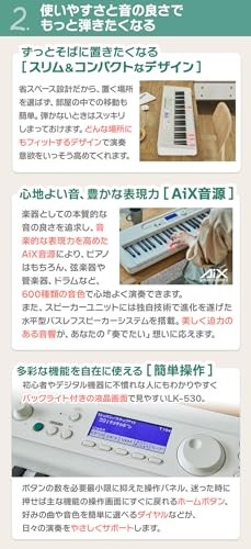 CASIO LK-530 Light navigation keyboard 61 keyboard Casio From