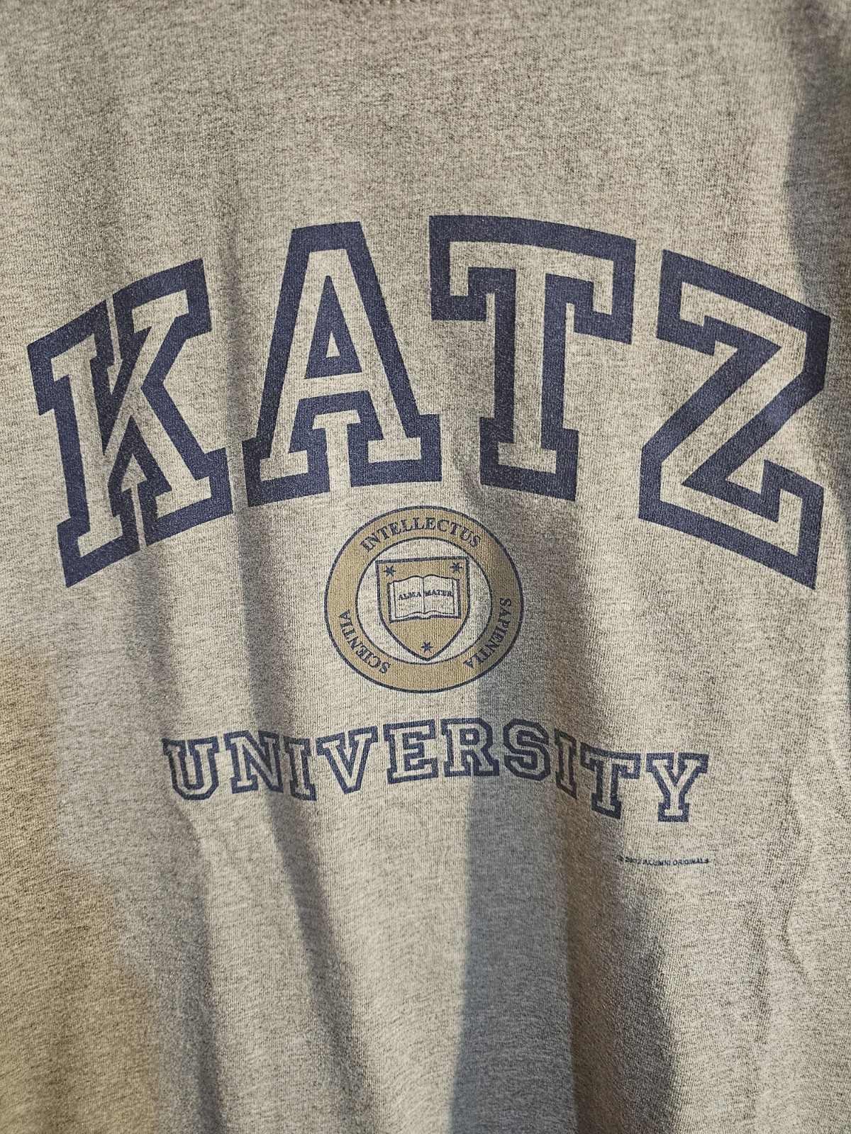 Vintage Katz University 2002 Xl Mens Gray Graphic Logo Tshirt NCAA