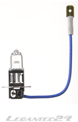 Glühlampe 12V 55W Pk22s H3 HD Longlife Glühbirne Lampe Birne 12Volt 55Watt neu