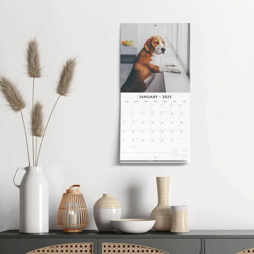 Beagles 2025 Square Wall Calendar