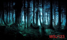 Halloween Undead Forest Vinyl Polyester Backdrop Photography Studio Background