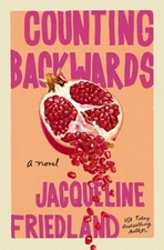 Counting Backwards, Hardcover by Friedland, Jacqueline, Brand New, Free shipp...