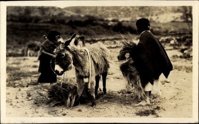 Foto Ecuador, Indios, Esel, um 1920 - 10512112