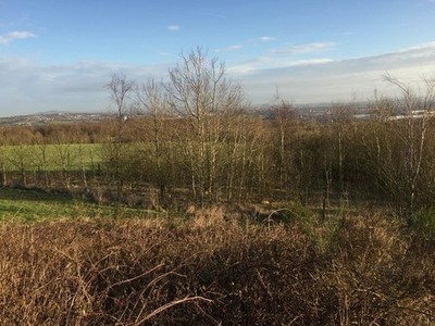 Foto A3 Black Bank: Copse unter Trig Point Blank Bank c2015