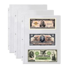 Dunwell Binder Currency Sleeves for Collectors - 25 Pack , 9x11.25", Clear