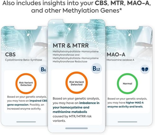 Methylierung Gene Test Kit beinhaltet MTHFR-Analyse | Analysiert 12 Methylierungen - Bild 5 von 14