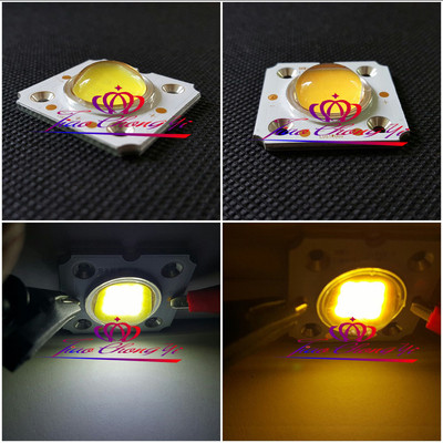 1-10PCS 10W High Power COB LED Lamp Warm/cool white 1050mA+60-80 degree lens 