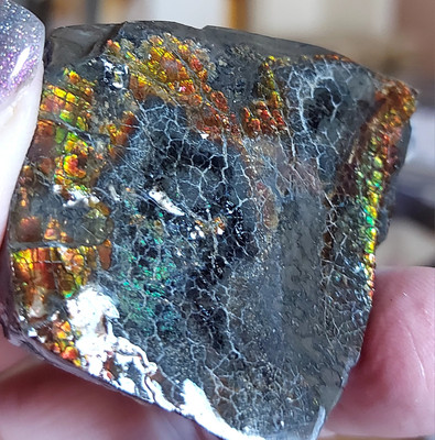 Ammolite  Ammonite tabletop  Display  Piece C Both Sides 47.3x42x15.2mm 10836