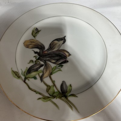 Harmony House China Alyce  Dinner Plate 204680 Set Of 4 See Below