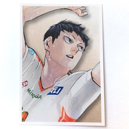 Haikyu Snap Photo Card KAGEYAMA SUGAWARA NISHINOYA OIKAWA USHIJIMA HOSHIUMI - Picture 2 of 19