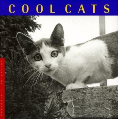 Cool Cats by J. C. Suar'Es;  Katrina Fried