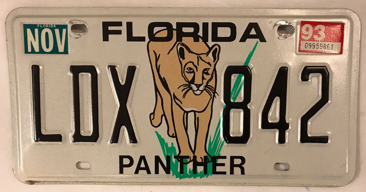 WILDLIFE COUGAR PANTHER EVERGLADES NATIONAL PARK license plate