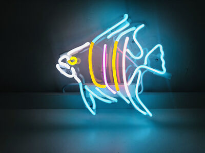 Tropical Fish Sea Seafood Acrylic 14'' Neon Light Sign Lamp Wall Decor Bar Open