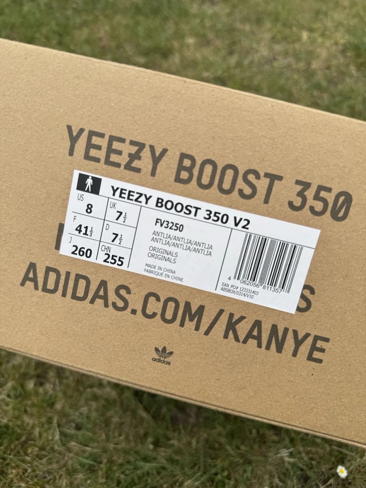 Adidas Yeezy Boost 350 V2 Antlia antiriflesso FV3250 UK7.5