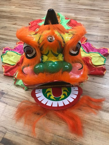 Costume de danse du lion pour un enfant laine chinoise mascotte enfant fête art populaire - Photo 1 sur 23