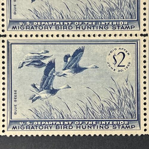 1955 US #RW22 - Federal Duck Stamps, Plate No Block of (6), Blue Geese, OG, MNH - Picture 5 of 6